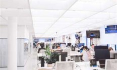 试药员的正规报名渠道在哪