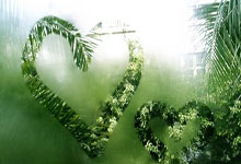 天涯论坛爆料霍建华该红不让几时是个热点！