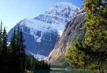 天涯论坛爆料霍建华该红不让几时是个热点！